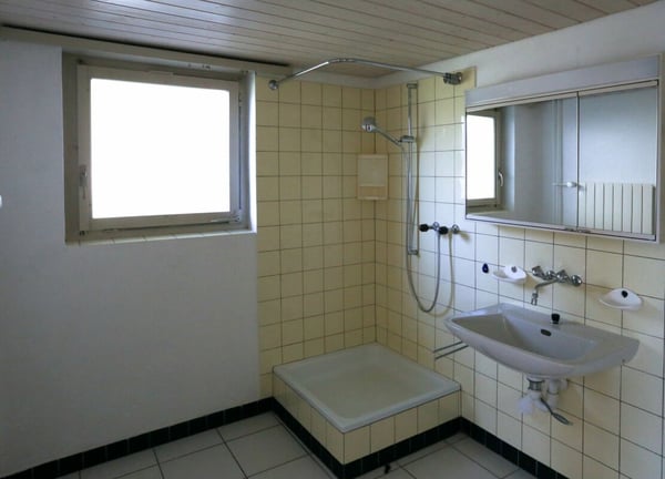 Haus mit 3 Wohnungen und Doppelgarage 5