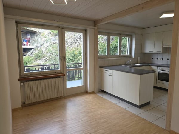 Haus mit 3 Wohnungen und Doppelgarage 7