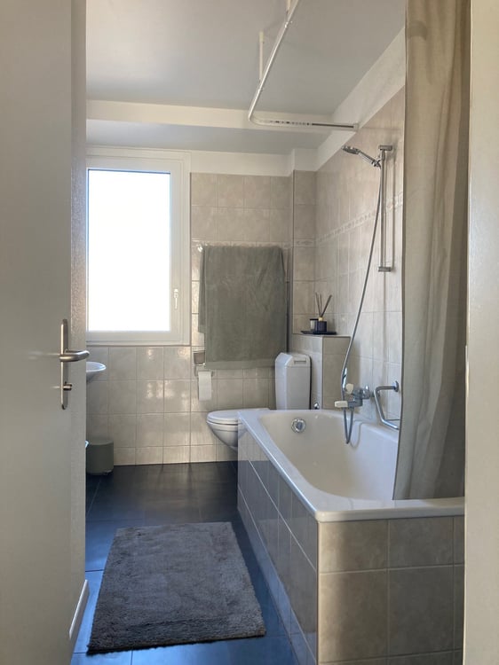 STADTWOHNUNG MIT RIESIGER TERRASSE 5