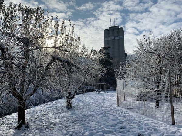 Maison atypique, nombreuses possibilités, idéal indépendant 11