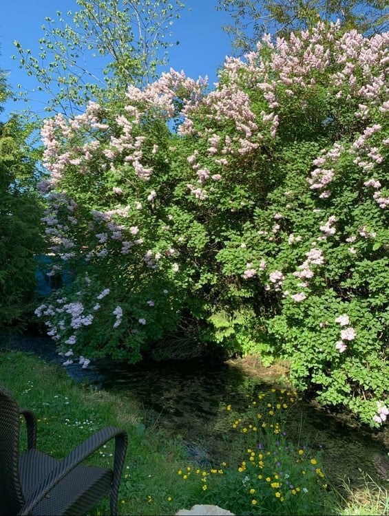 Maison atypique, nombreuses possibilités, idéal indépendant 12