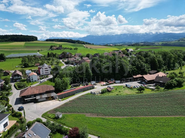 Raum schaffen und wirken. 15