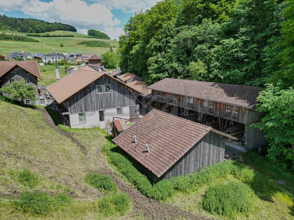 Raum schaffen und wirken. 7