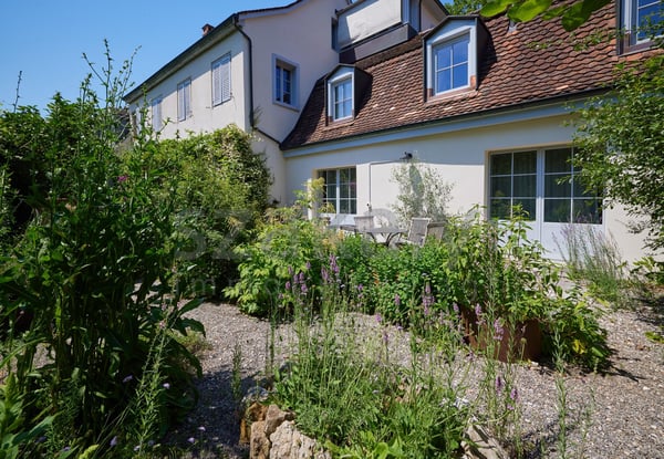 Dreifamilienhaus mit Charme in alterwürdigem Gemäuer 9