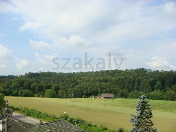 3-Zimmer-Duplex-Wohnung mit Terrasse in Zollikofen 9