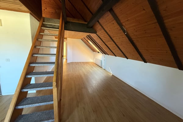 Mehrfamilienhaus mit Sanierungspotenzial 3