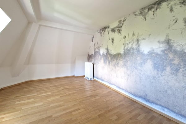 Altbauwohnung mit Charme 5