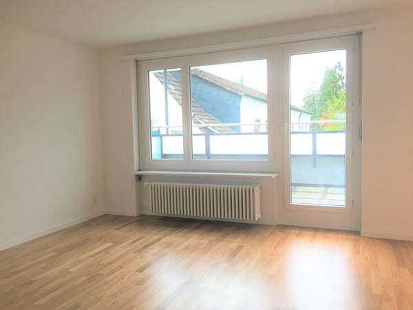 Über den Dächern von Solothurn 4