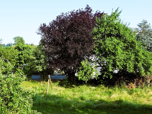 4.5 Zimmerwohnung an ruhiger Lage 7