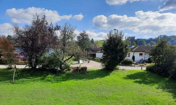 4.5 Zimmerwohnung an ruhiger Lage 2