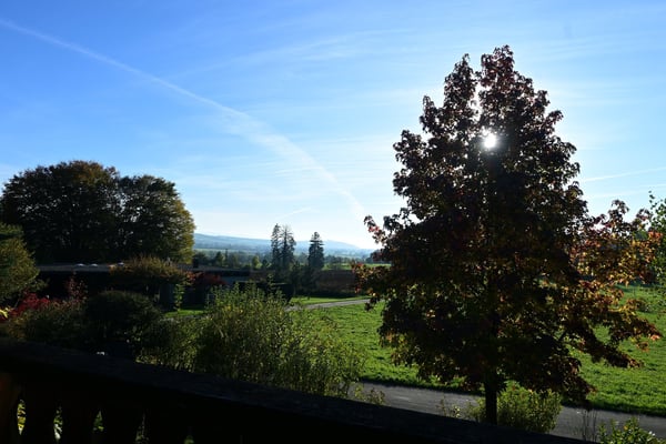 Reihen-Einfamilienhaus an unverbaubarer Lage und Landwirtschaftszone angrenzend 22