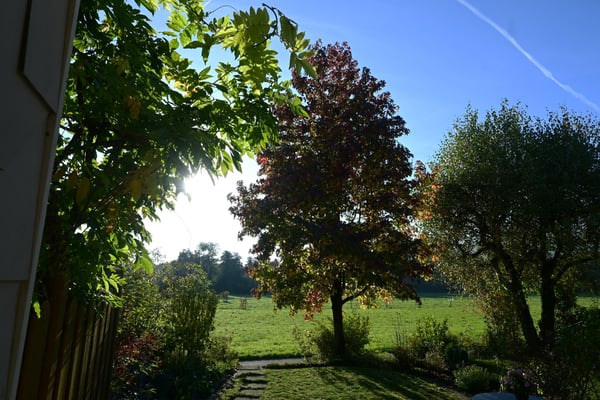 Reihen-Einfamilienhaus an unverbaubarer Lage und Landwirtschaftszone angrenzend 21