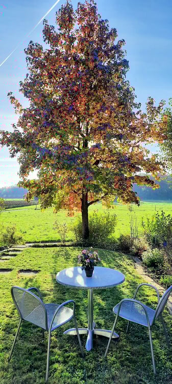 Reihen-Einfamilienhaus an unverbaubarer Lage und Landwirtschaftszone angrenzend 20