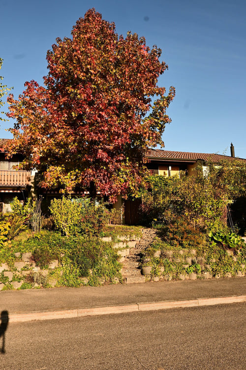 Reihen-Einfamilienhaus an unverbaubarer Lage und Landwirtschaftszone angrenzend 19