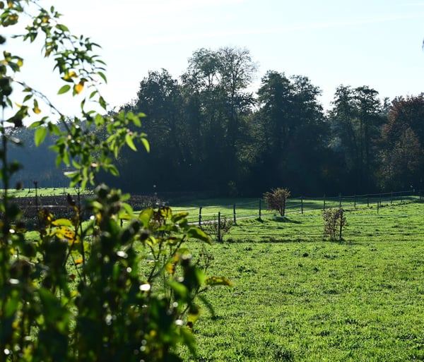 Reihen-Einfamilienhaus an unverbaubarer Lage und Landwirtschaftszone angrenzend 1