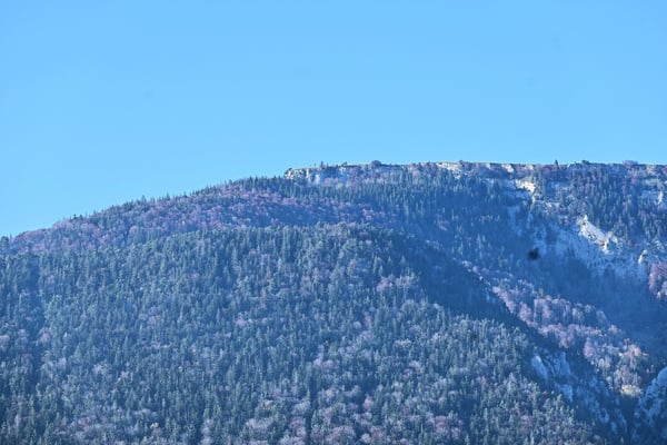 Reihen-Einfamilienhaus an unverbaubarer Lage und Landwirtschaftszone angrenzend 23