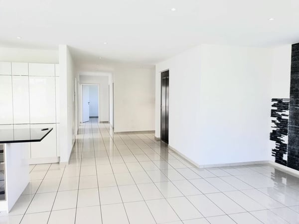 Exklusive 1.5-Zimmer-Attikawohnung mit direktem Liftzugang 3