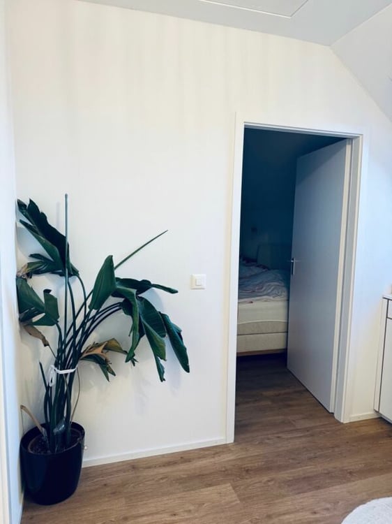 Einfamilienhaus zu Verkaufen mit Bauland Reserve CHF 1'030'000.- 13