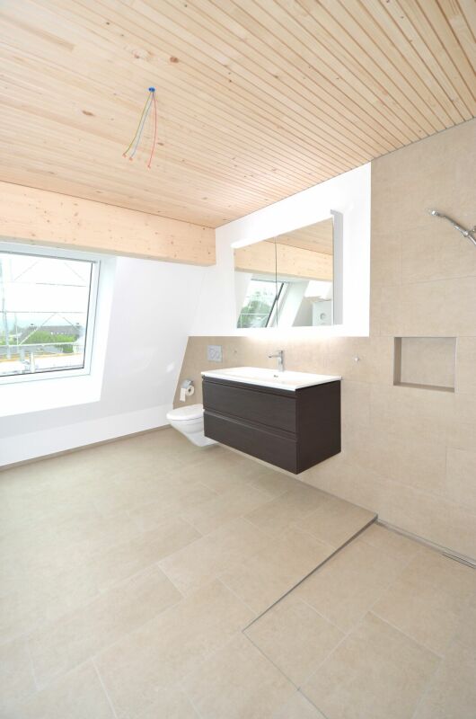 Dream penthouse apartment - above the roofs of Frauenfeld!