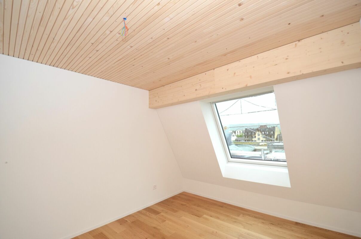 Dream penthouse apartment - above the roofs of Frauenfeld!