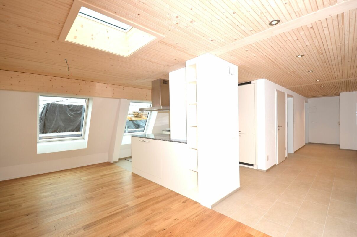 Dream penthouse apartment - above the roofs of Frauenfeld!