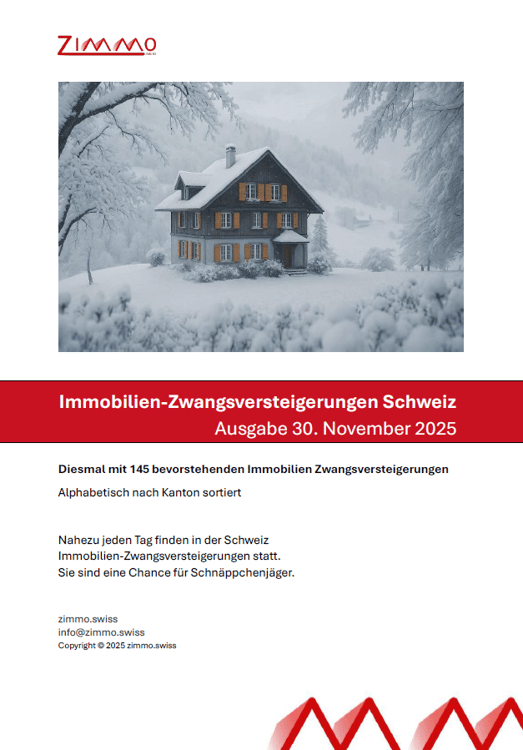 1-Zimmer-Wohnung in Zürich-Höngg 8