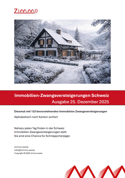 Mehrfamilienhaus in Adliswil - die Gelegenheit 8