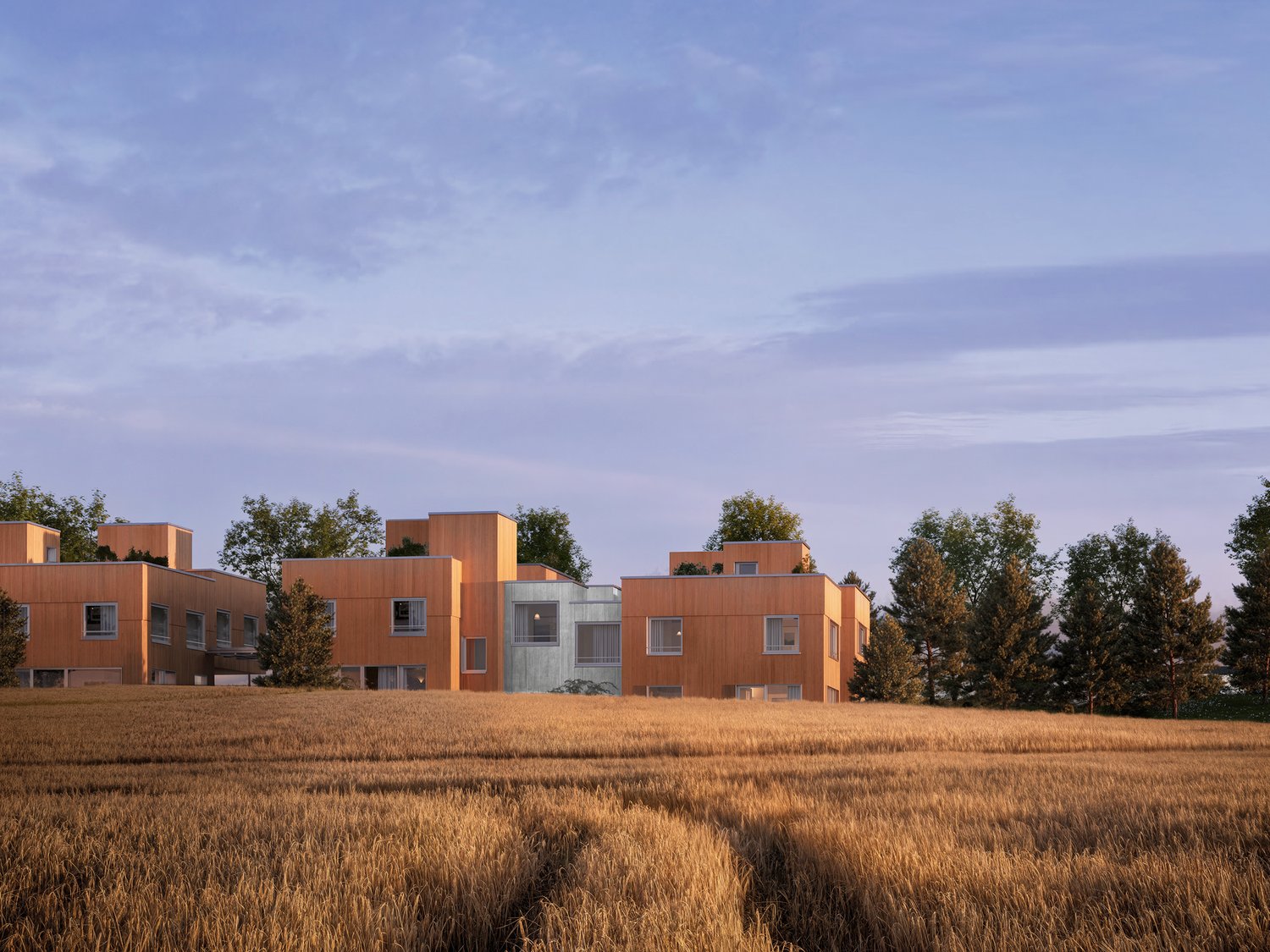 Modern architectural design, wooden exterior, multiple units, surrounded by trees and a field
