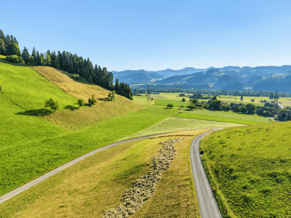 Idyllisch gelegenes, freistehendes und saniertes Bauernhaus 7