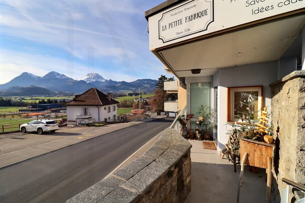 Superbe surface commerciale 2