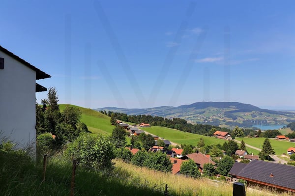La Roche