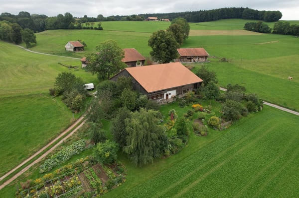 L'Art de vivre à la campagne ! Une ferme d'exception où authenticité, élégance et sérénité se rencontrent ! 3
