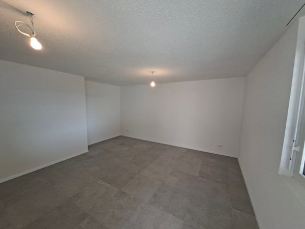 Villa 4,5 pièces de 115 m2 neuve avec studio de 35 m2 10