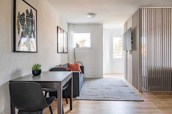 2.5 Zimmerwohnung - modernes Studio mitten in Basel 2