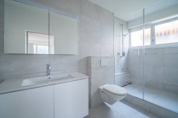 Modernste 1.1-Zimmer-Attikawohnung mit Berg- und Seeblick in Luzern 14