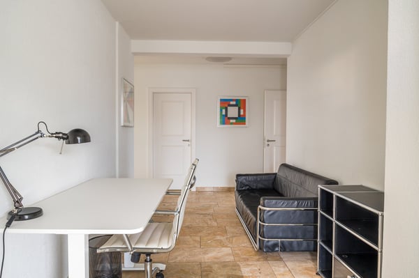 Modernste 1.1-Zimmer-Attikawohnung mit Berg- und Seeblick in Luzern 12