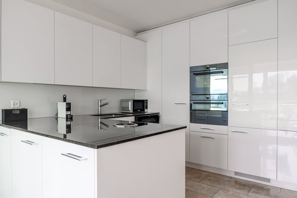 Modernste 1.1-Zimmer-Attikawohnung mit Berg- und Seeblick in Luzern 11