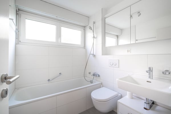 Grosszügige 1.5-Zimmer-Attikawohnung mit Berg- und Seeblick in Luzern 13