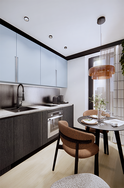 1.5-Zimmer-Penthouse-Wohnung an zentraler Lage (Kreis 2) in Zürich 12