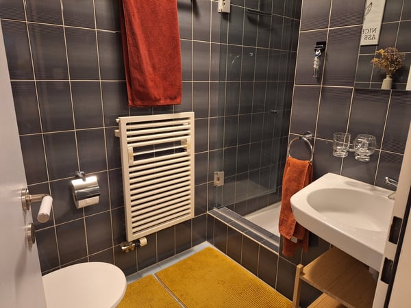 BEFRISTET: 01.04.2026 - 31.03.2027 stilvolle 1.5-Zimmer-Wohnung mit Garten in Uitikon 9