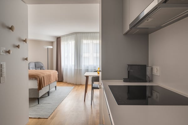 NEW WOW! 3min zum HB - möblierte 1.5-Zimmer-Wohnung 30m2 – ab 01.11.2025 9