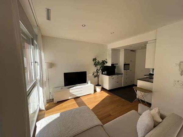 Möblierte 2.5-Zimmer-Wohnung mit Balkon und Seesicht in Zug 2