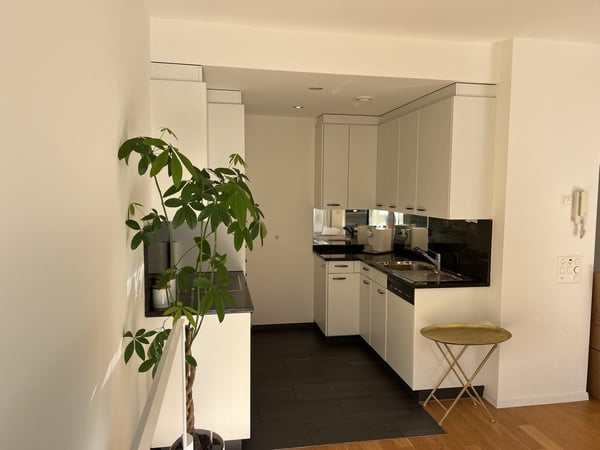 Möblierte 2.5-Zimmer-Wohnung mit Balkon und Seesicht in Zug 8