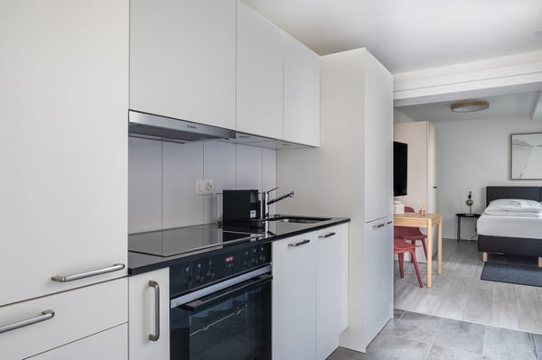Möblierte 1.5-Zimmer-Attikawohnung mit Balkon im Herzen von Züric 8