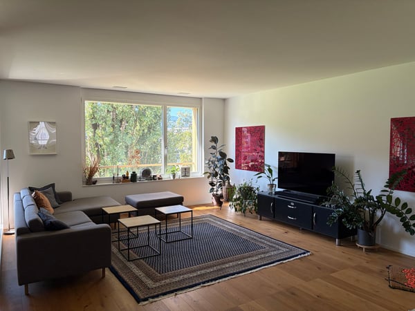 Charming furnished 3.5-Room Apartment with Balcony an rooftop terrace in the Heart of Luzern 3