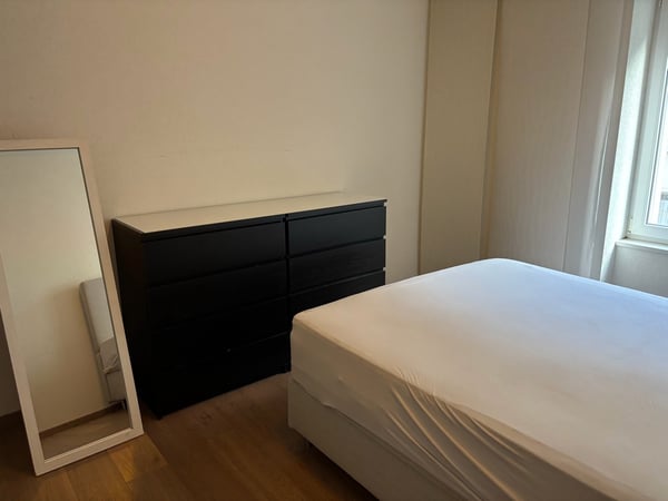 Fixed term: 01.01.2027 - 31.05.2027: Charming Furnished 2.5-Room Apartment in Zürich-Wiedikon 9