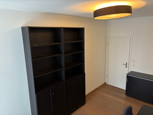 Fixed term: 01.01.2027 - 31.05.2027: Charming Furnished 2.5-Room Apartment in Zürich-Wiedikon 11