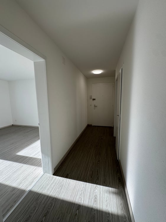 Zu vermieten 1. Zimmer-Wohnung komplett renoviert in Biel ca 130m2 13