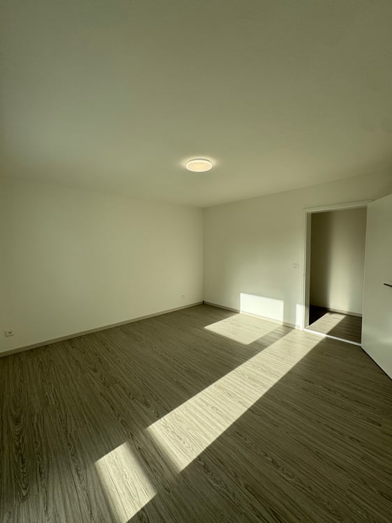 Zu vermieten 1.5-Zimmer-Wohnung komplett renoviert in Biel ca 100m2 15