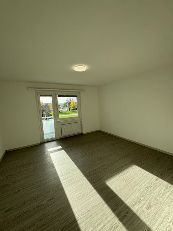 Zu vermieten 1.5-Zimmer-Wohnung komplett renoviert in Biel ca 100m2 14